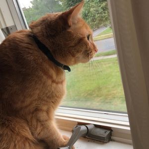 Meet your Posher, William